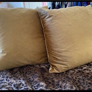 Pair of gold velvet pillows